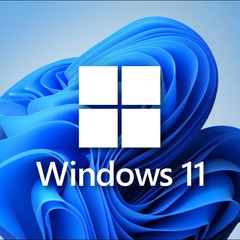 Windows 11 Pro Dijital Lisans